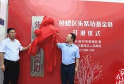 最新爆料朱紫,神秘新游曝光，揭开奇幻世界神秘面纱