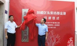 最新爆料朱紫,神秘新游曝光，揭开奇幻世界神秘面纱