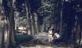 爆料保定小树林视频,揭秘背后真相与争议