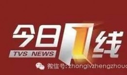 今日一线爆料成功率,爆料成功率背后的真相