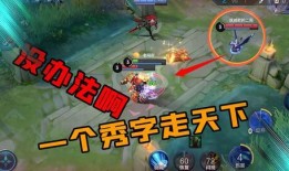 老鸟王者爆料视频大全集,揭秘电竞圈幕后风云