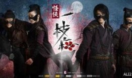 怪侠一枝梅1在线观看,江湖传奇，侠骨柔情