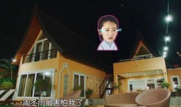 明星黑历史大全爆料视频,视频爆料背后的真相与反思