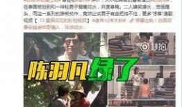 碧海爆料后续事件视频,揭秘事件真相与后续发展
