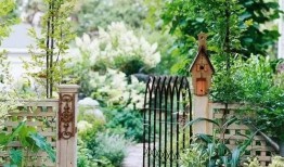 小院大妈爆料视频大全,揭秘社区生活点滴