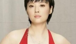 袁立爆料秃头视频播放,揭秘娱乐圈明星压力下的健康危机