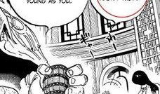 大妈海贼王爆料视频,揭秘神秘力量与未来剧情走向