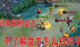 老鸟王者爆料视频大全集,揭秘电竞圈幕后风云