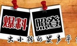 新闻大爆料小号叫什么,揭秘真相背后的神秘力量