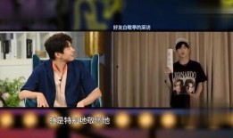 白敬亭狗仔爆料视频播放,揭秘娱乐圈幕后真相