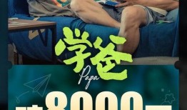 老罗爆料精神病视频播放,真相与争议并存