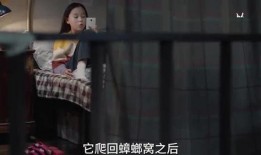 爆料灵山姐姐视频,视频爆料背后的神秘面纱