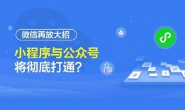 小程序时事视频爆料软件,小程序时事视频爆料软件深度解析
