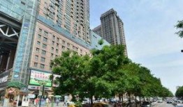 石家庄公寓最新爆料电话,电话曝光，揭秘神秘项目详情