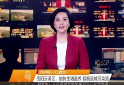 最新爆料湖南新闻联播直播,揭秘重大事件背后真相