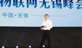 马云演讲完整视频大爆料,商业智慧与未来趋势深度解析