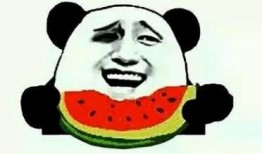 微信吃瓜群网红篇,揭秘网红圈幕后故事