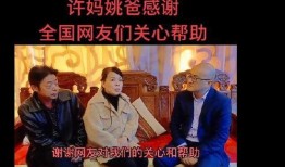 最新爆料杜新枝离婚,揭秘背后真相与情感纠葛