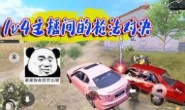 吃鸡新玩法爆料视频,视频爆料带你领略全新竞技盛宴