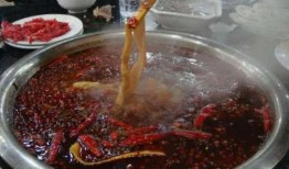 火锅食材爆料怎么做视频,视频教你轻松打造美味火锅