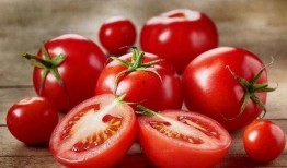 番茄小说吃瓜娱乐圈,番茄小说中的吃瓜日常