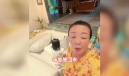 兰姐爆料孙女哭了吗视频,孙女哭了吗视频背后的感人故事