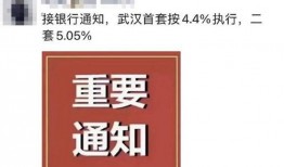 武汉最早爆料新闻事件是什么,揭开疫情序幕的惊人瞬间