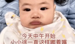 扒叔爆料小黄鸭事件视频,小黄鸭事件视频背后真相曝光