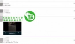 爆料视频在哪儿能看到,爆料视频观看途径大汇总