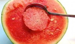 微信吃瓜群网红篇,揭秘网红圈幕后故事