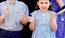 夏洛特新闻爆料是真的吗,真相还是谣言？