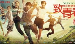 致青春全集在线观看,青春岁月里的爱与成长