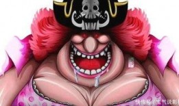 大妈海贼王爆料视频,揭秘神秘力量与未来剧情走向