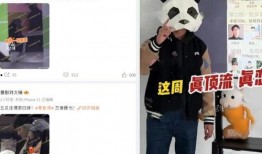 狗仔爆料刘大锤视频全集,狗仔爆料背后的真相与幕后故事
