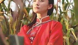 红高粱电视剧全集在线观看在线丨,激情燃烧的岁月，重温经典传奇