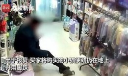 混沌店监控视频爆料者,混沌店内惊人一幕，爆料者还原事件真相