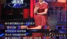 巅峰榜导演爆料视频,揭秘幕后故事与行业真相