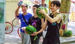 高校吃瓜免费资源,免费资源大揭秘，学子福利一网打尽