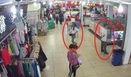 石家庄爆料盗窃案件最新,警方全力追捕嫌疑人