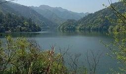 爆料罗村水库最新消息视频,揭秘视频曝光惊人真相！