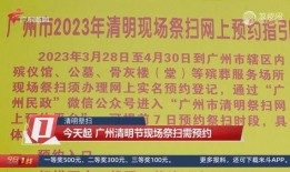 今日一线爆料成功率,爆料成功率背后的真相