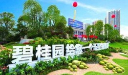 丹江碧桂园爆料最新消息,揭秘项目进展与未来规划