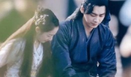 网游爆料李易峰事件视频,真相与争议的交织