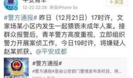 华西家长爆料新闻视频播放,新闻视频引发热议，真相究竟如何？