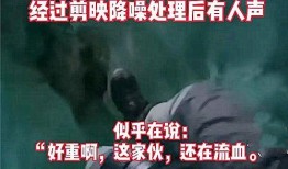 碧海爆料后续事件视频,揭秘事件真相与后续发展