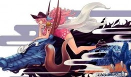 大妈海贼王爆料视频,揭秘神秘力量与未来剧情走向