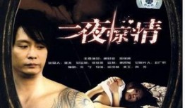 夜惊情在线观看,惊悚悬疑，揭秘神秘事件背后的真相